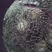 Контур акриловый Таир универсальный "Прозрачный", 1209500, 20 мл